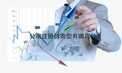 公司注册的类型有哪几种? 第1张